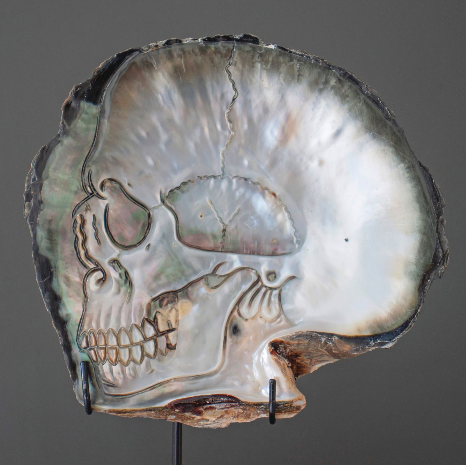 Mother of Pearl Shell - Human skull motif (1 of 9)