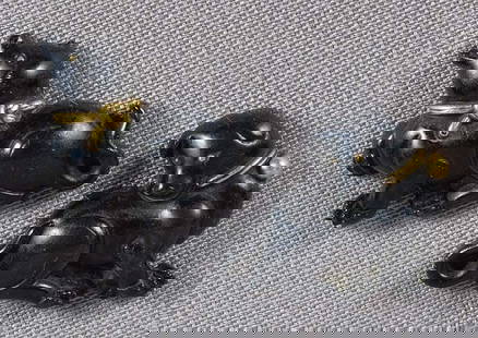Pair 19c Japanese sword SHAKUDO MENUKI PUPPIES: Pair of early 19th century menuki - Japanese sword fittings - each depicting a puppy with collar in different attitude. Superbly beautiful shakudo with characteristic black surface, crisp casting and