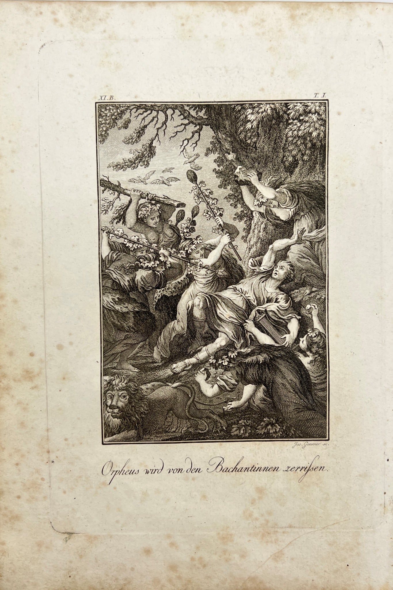 Original Engraving - Orpheus is Torn to Pieces by the Bachantes - Gerstner (1 of 1)