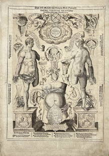 Origina Engraving - Flap Anatomy - Catoptrum Microcosmicum - First Vision: Title/Artist: Origina Engraving - Flap Anatomy - Catoptrum Microcosmicum - First Vision Medium: Rare anatomical engraving entitled "Visio Catoptri Microcosmici Tertia" (Third Vision from Mirrors of th