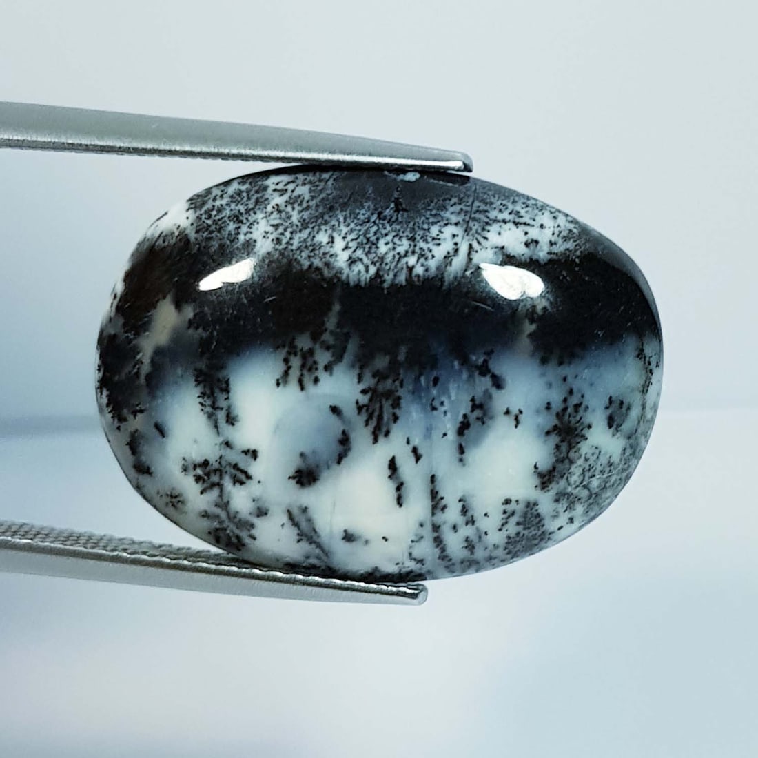 19.43 ctz Natural Dendritic Opal: No Reserve! Title: 19.43 ctz Natural Dendritic Opal Color/Clarity: White & Black / Opaque Gemstone: Opal Carat Weights: 19.43 Size: 24.35 x 18.10 x 5.80 Additional Information: Oval / Australia Shippi