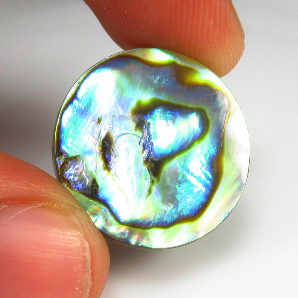 9.53 Ct - Natural Shining Abalone Shell (1 of 2)