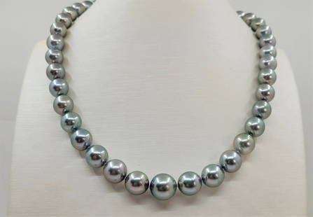 9x12mm Metallic Silvery Tahitian Pearls: Title: 9x12mm Metallic Silvery Tahitian PearlsDescription: A luxury pearl necklace, made with near round Tahitian pearls, and completed with an elegant ball clasp in solid silver. Tahitian pearls are