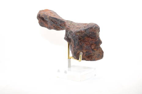 Oriented Iron meteorite: This unclassified iron meteorite from North West Africa, weighing a substantial 1452.60 grams, is an exquisite example of celestial material in its natural state. Its aesthetic allure is enhanced by