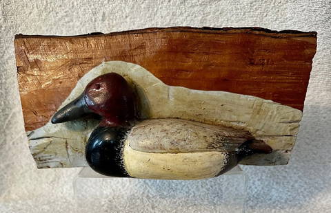 Canvasback Duck Carving in Log Signed: A most unusual treatment of a carving of a Canvasback Duck: a bit over half the duck is carved out of a chunk of birch log. Painted to represent a Canvasback drake, the piece is signed on the bottom