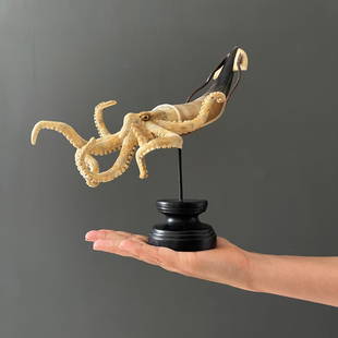 Stunning hand-carved octopus with horn on a custom stand: Title: Stunning hand-carved octopus with horn on a custom standMaker: UnknownOrigin: IndonesiaDate/Period: 2023Materials: Bos Taurus Horn, Deer AntlerDimensions:Height including stand: 26 cm / 10.2