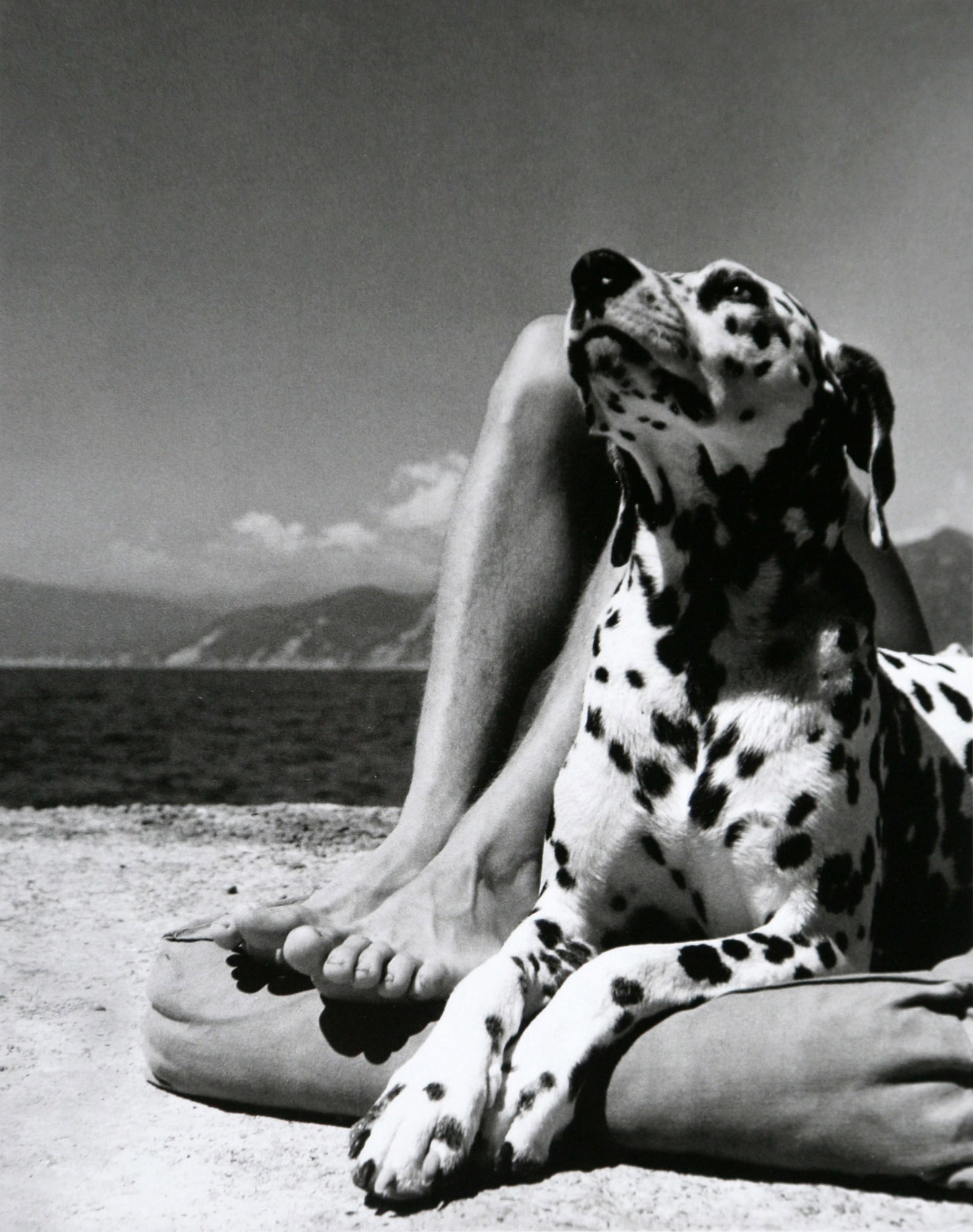 Herbert List - Portofino, 1936: Artist: Herbert List Title: Portofino, 1936 Date Printed: 2008 Medium: High Quality Photo Lithograph Print with Copyright Herbert List / Magnum Photos Printer Location: Printed in Italy - Portfolio Ed