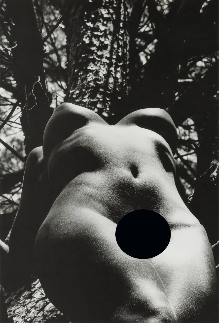 LUCIEN CLERGUE - Female Figure in Nature: Artist: Lucien Clergue Title: Female Figure in Nature Medium: Photo Litho, 1998, Germany Dimensions: 8.25x12.15" Description: Heat Wax Mounted on 12x16" Conservation Board Artist Bio: Lucien Clergue (