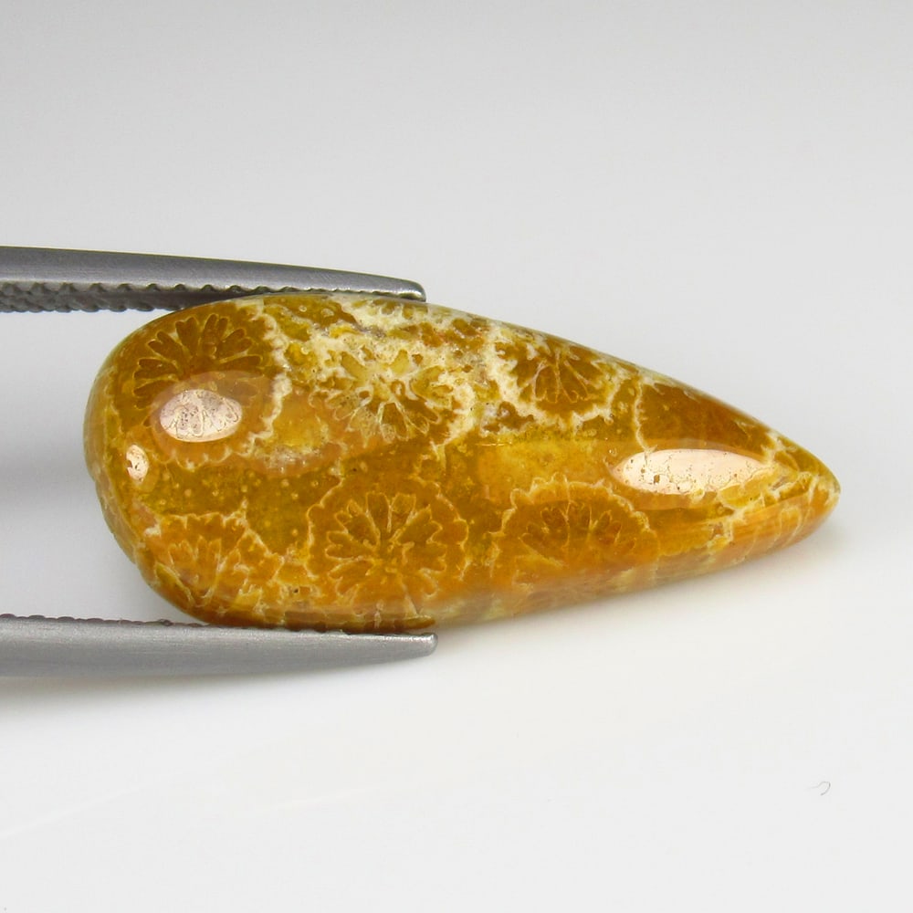 10.61 Ct - Natural Picture Jasper: No Reserve! Title: 10.61 Ct - Natural Picture Jasper Additional Information: Gemstone Gemstones: Jasper Carat Weights: 10.61 Size/Dimensions: 24.0 x 11.0 x 5.5 mm Additional Information: Pieces : 1 No