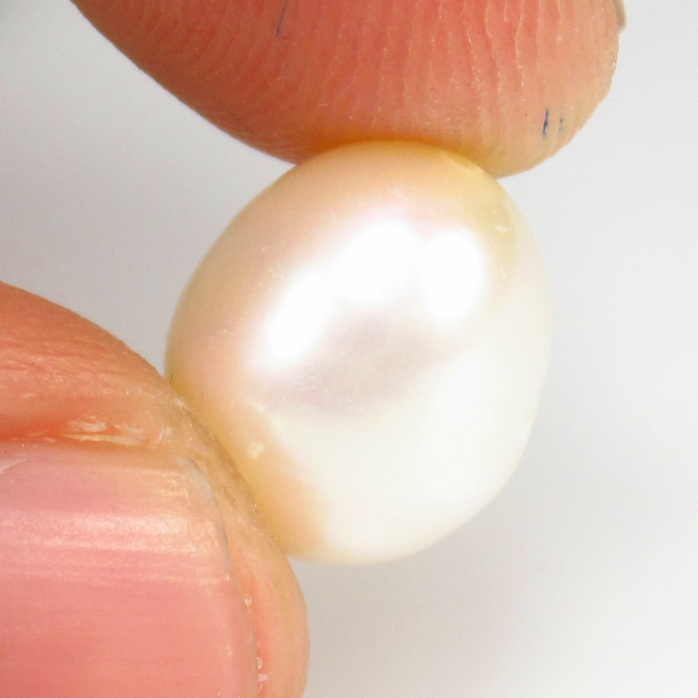 Natural Fresh Water Pearl - 6.98 Ct: No Reserve! Title: Natural Fresh Water Pearl - 6.98 Ct Origin: India Weight: 6.98 Size/Dimensions: 11.0 x 9.5 x 9.5 mm Additional Information: Pieces : 1 No's / Shape : Dumble Cab / Color : White / Cl