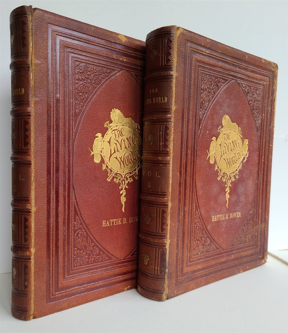 1868 LIVING WORLD 2 VOLS illustrated RACES of MEN ANIMALS BIRDS INSECTS antique (1 of 14)