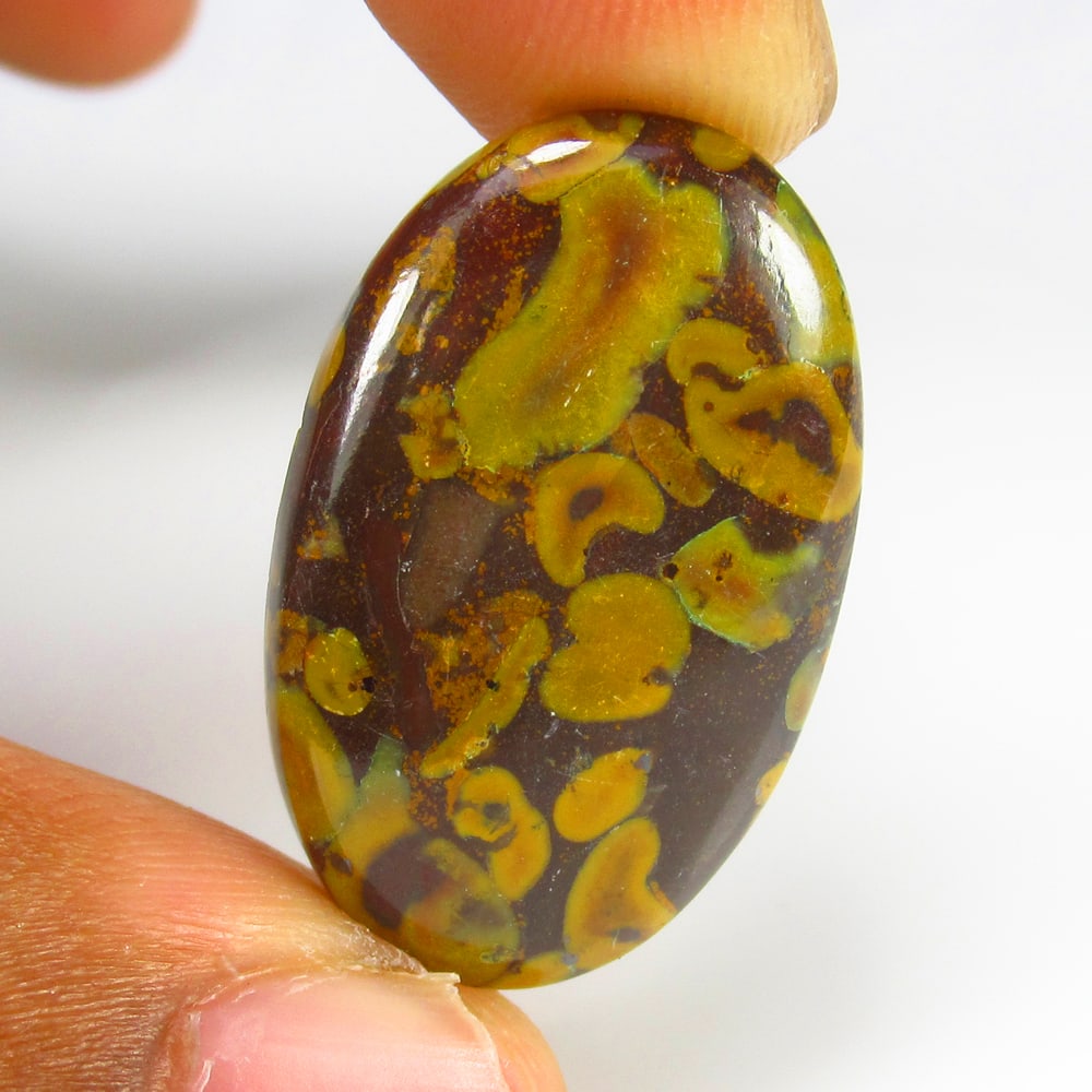 20.56 Ct - Natural Fruit Jasper: No Reserve! Title: 20.56 Ct - Natural Fruit Jasper Description: Gemstone Gemstone: Jasper Carat: 20.56 Size/Dimension:28.0 x 17.6 x 5.0 mm Shipping: Domestic: Flat-rate of $7.00 to anywhere within the