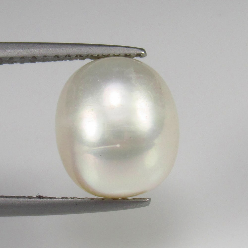 Natural Fresh Water Pearl - 7.52 Ct: No Reserve! Title: Natural Fresh Water Pearl - 7.52 Ct Origin: India Weight:7.52 Size/Dimensions: 9.0 x 6.5 x 3.5 mm Description: Pieces : 1 No's / Shape : Dumble Cab / Color : White / Clarity : Opaqu