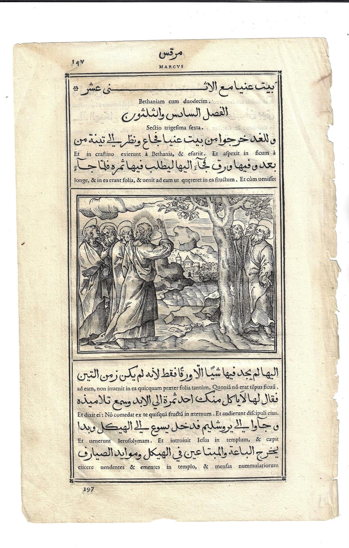 1599 Rare Leaf Arabic Latin Bible Woodcut (1 of 2)