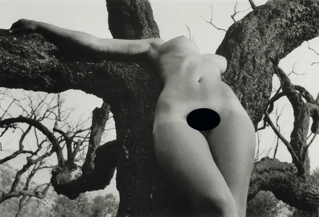 LUCIEN CLERGUE - Female Figure in Burnt Forest, 1973: Artist: Lucien Clergue Title: Female Figure in Burnt Forest in the Var, 1973 Medium: Photo Litho, 1999, Germany Dimensions: 8.2x5.6" Description: Heat Wax Mounted on 8.5x11" Conservation Board Artist 
