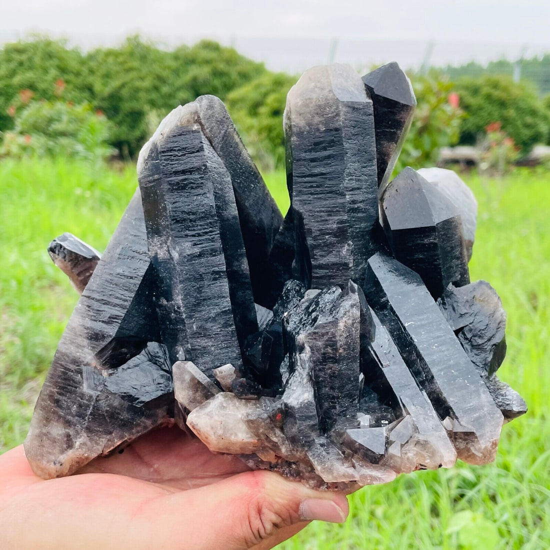 2860 Gram  Top Natural Smoky Black Quartz Cluster  Specimen (1 of 5)