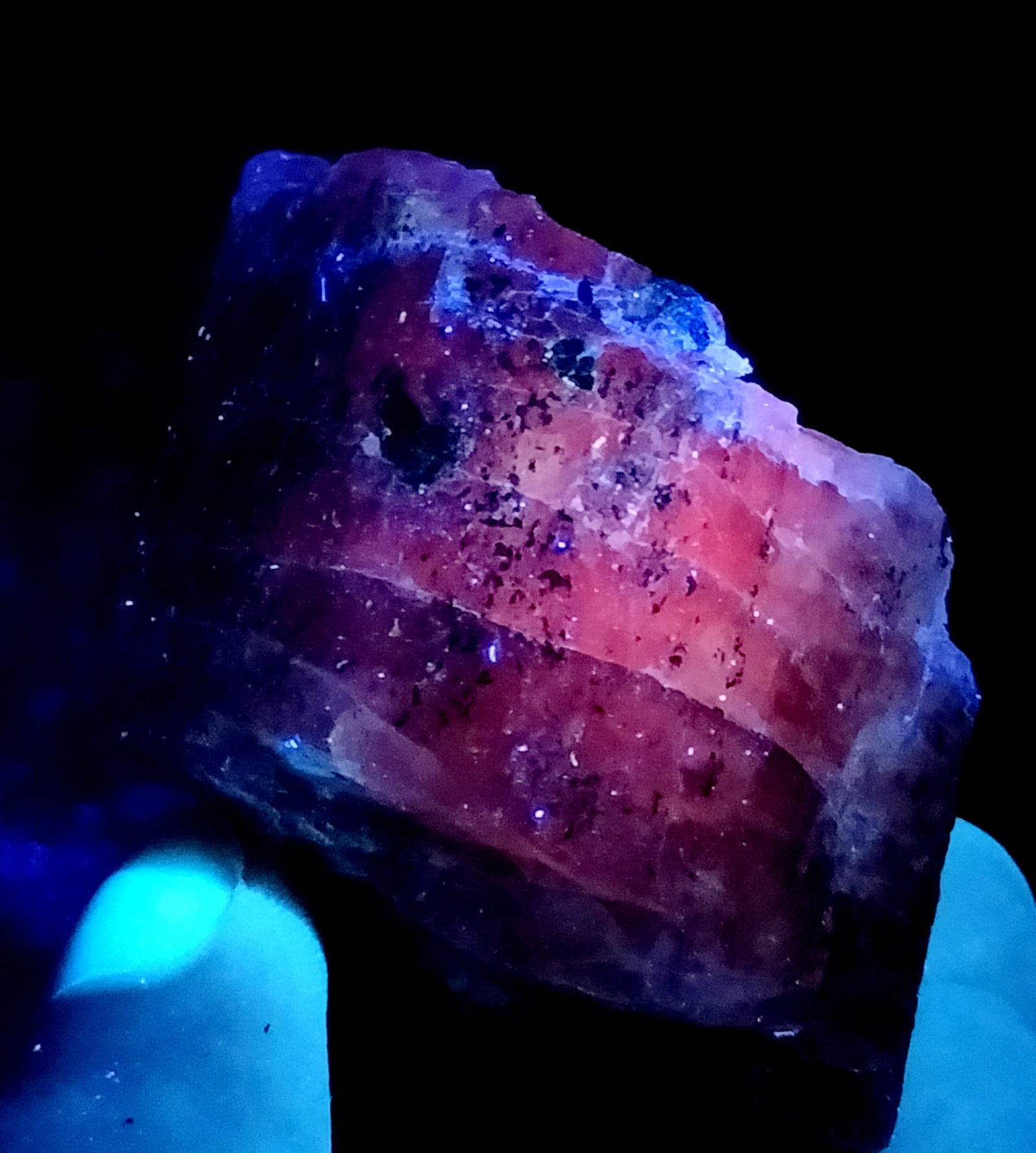 180 Gram Beautiful Rare Natural Fluorescent Scapolite Specimen~Afghanistan: Title: 180 Gram Beautiful Rare Natural Fluorescent Scapolite Specimen~Afghanistan Treatment: Natural Weight: 180 Gram Dimensions: 80x40x35 mm Origin: Pakistan Reserve: $35.00 Shipping: Domestic: Flat-