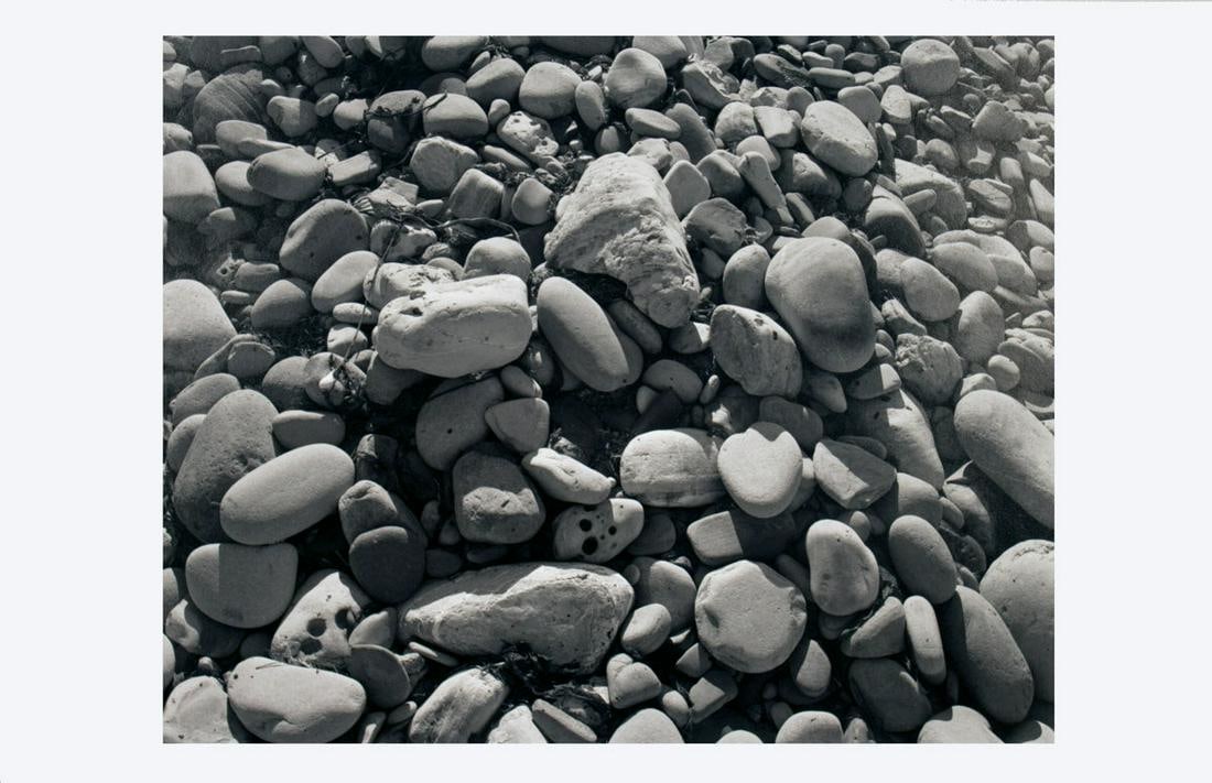 James Welling: Elwood Beach 25 (1 of 1)