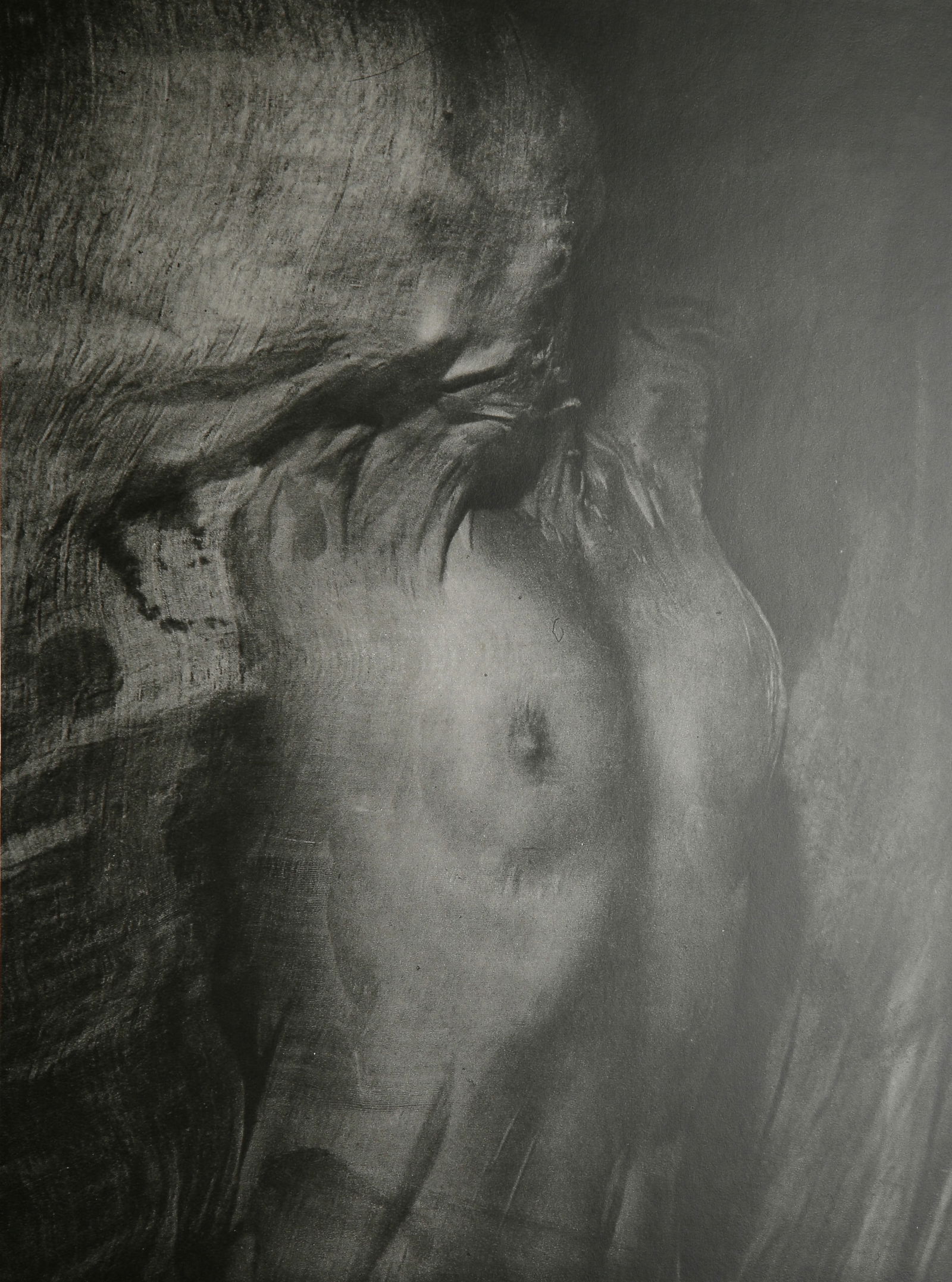 Erwin Blumenfeld - Nude Behind Veil: Artist: Erwin Blumenfeld Title: Nude Behind Veil Date Printed: Printed in 1979 Heavy weight paper Medium: Vintage Photogravure Limited Edition Printer Location: Printed in Italy in 1979 Size/Dimension
