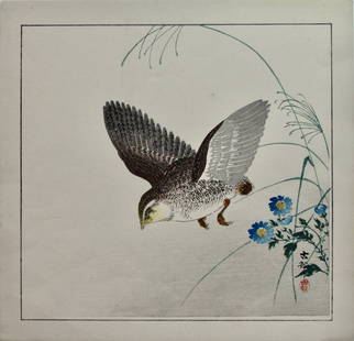 Koson: Bird in Flight: Artist: Ohara KOSON (1877-1945) Subject: Bird in Flight Publisher: Daikokuya Signature: Koson with seal Date: c. 1910 Format: shikishiban, 28.4 x 27.4 cm Condition: Fine impression, color and conditio