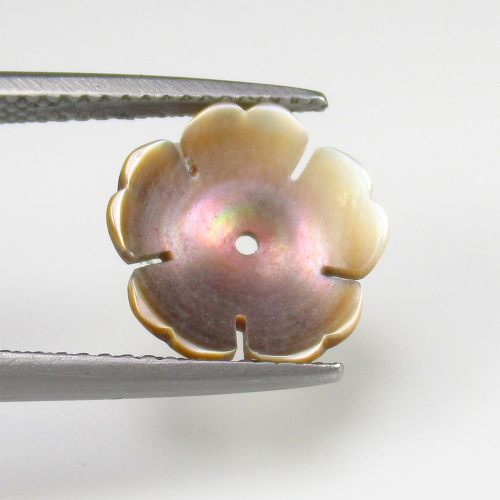 Natural Shell Carving- 1.43 Ct (1 of 2)