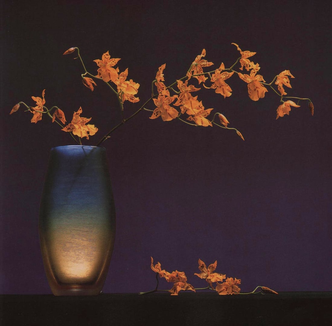 MAPPLETHORPE -  Flowers in a Vase, 1985 (1 of 1)