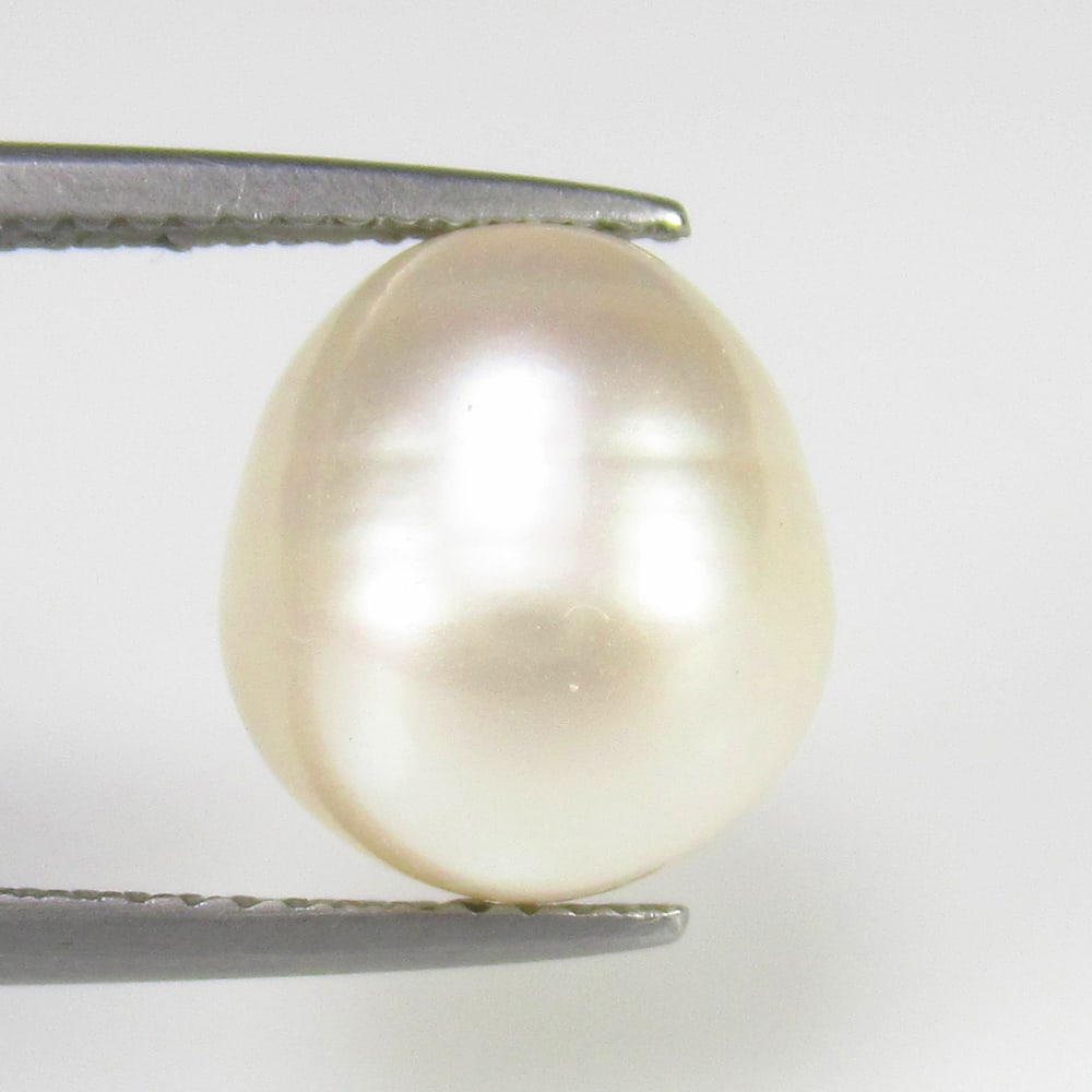 Natural Fresh Water Pearl - 7.94 Ct: No Reserve! Title: Natural Fresh Water Pearl - 7.94 Ct Origin: India Weight:7.94 Size/materials: 11.0 x 10.0 x 10.0 mm Description:Pieces : 1 No's / Shape : Dumble Cab / Color : White / Clarity : Opaq