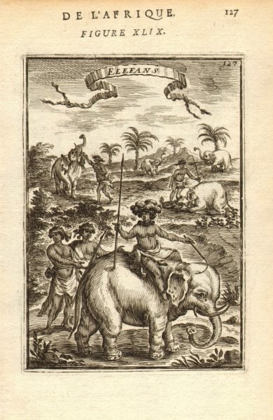 AFRICA. Natives riding African Elephants. Spears. 'Elefans. MALLET 1683 print (1 of 1)