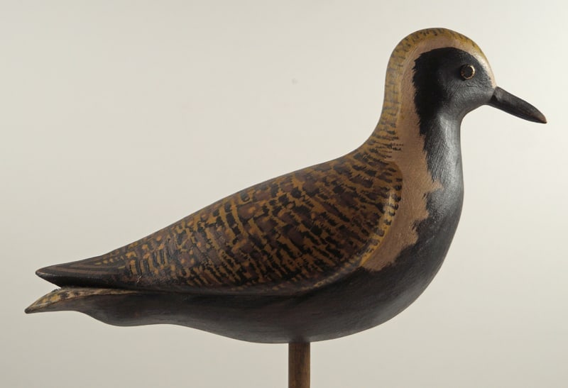American Golden Plover Decoy Carving Rhodes (1 of 7)