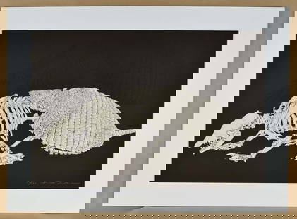 Original HIDEO TAKEDA print ALTAMIRA ARMADILLO signed numbered: Original silkscreen print “SIX-BANDED ARMADILLO” by Hideo Takeda (born 1948) from the Altamera series - one of a set of 10 prints each depicting an animal skeleton. Printed in 1994, signed