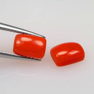 2.32 Ctw Natural Italian Red Coral Cushion Pair: No Reserve! Title: 2.32 Ctw Natural Italian Red Coral Cushion Pair Stone Clarity: Opaque Gemstone:Natural Coral Carat Weights: 2.32 Size/Dimensions: 7.00 x 4.90 x 3.30 mm / 2 Pc's Additional Info:Exce