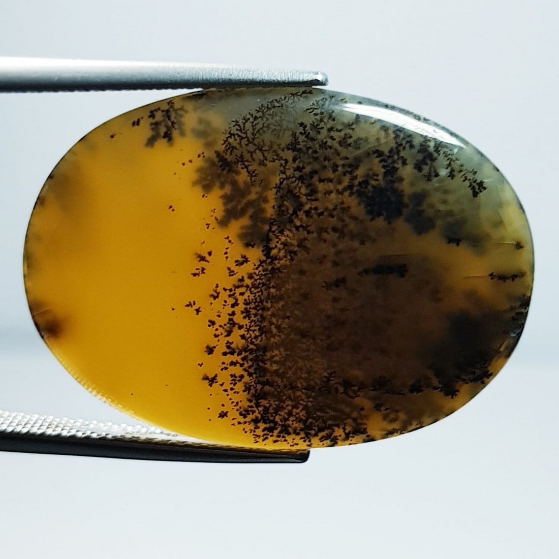 17.07 ctz Natural Dendritic opal: No Reserve! Title: 17.07 ctz Natural Dendritic opal Color/Clarity: White & Black / Opaque Gemstone: Dendretic Opal Carat Weights: 17.07 Size: 28.75 x 20.75 x 4.20 Additional Information: Oval / Austra