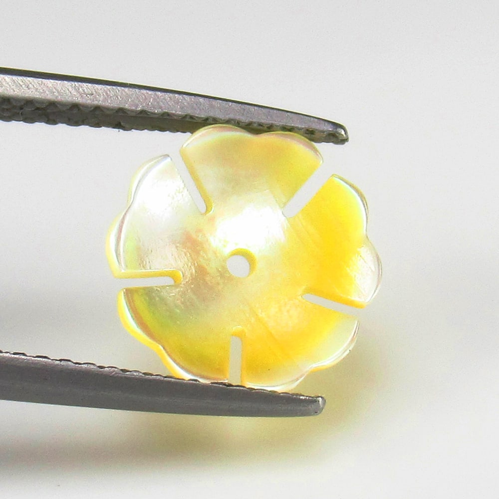 Natural Shell Carving- 1.13 Ct (1 of 2)