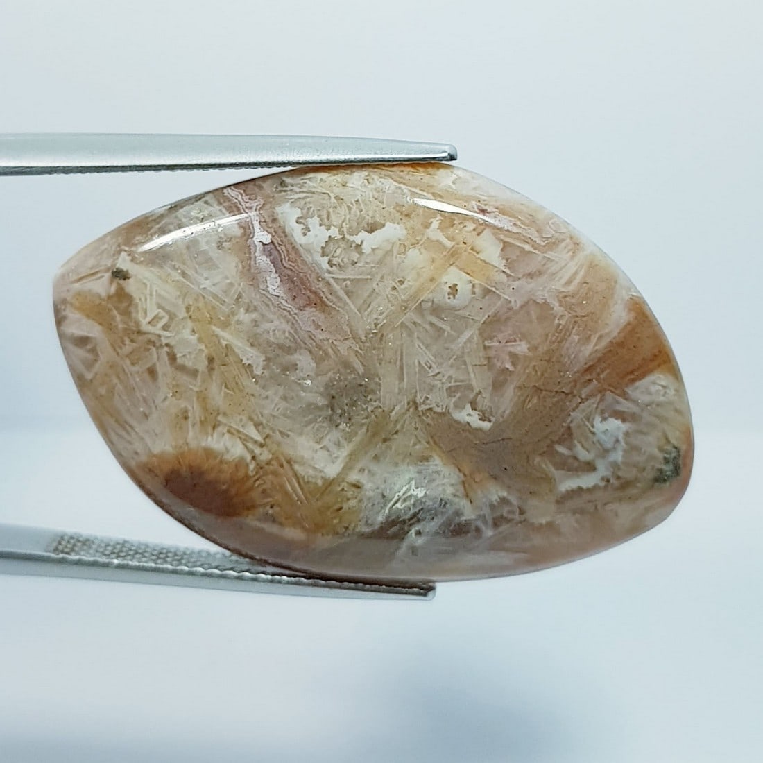 38.32 Ctz Natural Turquoise Jasper: No Reserve! Title: 38.32 Ctz Natural Turquoise Jasper Color/Clarity: Brown / Opaque Gemstone: Turquoise Jasper Carat Weights: 38.32 Size: 36.35 x 23.90 x 6.10 Additional Information: Fancy / Brazil Sh