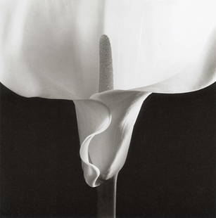 ROBERT MAPPLETHORPE - Calla Lily, 1988: Artist: Robert Mapplethorpe Title: Calla Lily, 1988 Medium: Photo Litho, 2012, Italy Dimensions: 8.9x9" Description: Heat Wax Mounted on 11x14" Conservation Board Artist Bio: Robert Mapplethorpe was a