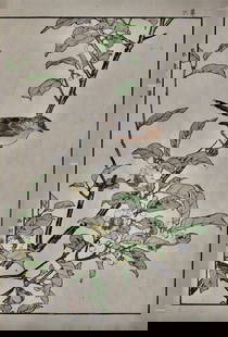Imao Keinen: Bird and Pomegranate: Artist: Imao KEINEN (1845-1923) Subject: Bird and Pomegranate Series: Keinen gafu (Keinen's Bird and Flower Pictures) Publisher: Nishimura Sozaemon Signature: Keinen Date: 1891 Format: ôban, 24.4