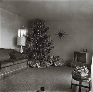 DIANE ARBUS - XMas Tree in a Living Room, 1963: Artist: Diane Arbus Title: XMas Tree in a Living Room in Levittown, Long Island, 1963 Medium: Photo Litho, 1972, USA Dimensions: 8.3x8.15" Description: Heat Wax Mounted on 11x14" Conservation Board Ar