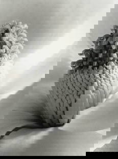 IMOGEN CUNNINGHAM - Magnolia Blossom Tower of Jewels: Artist: Imogen Cunningham Title: Magnolia Blossom Tower of Jewels, 1925 Medium: Photo Litho, 2001, Italy Dimensions: 7.05x9.4" Description: Heat Wax Mounted on 11x14" Conservation Board Artist Bio: Im
