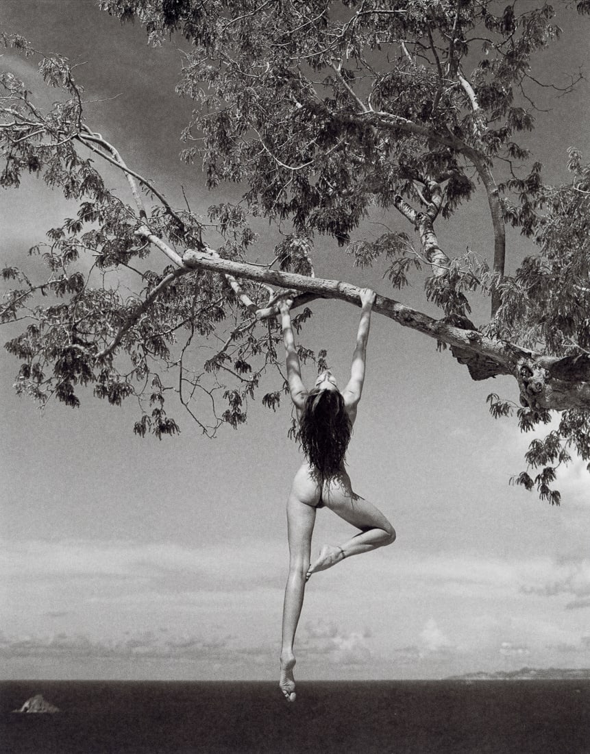 PATRICK DEMARCHELIER - Hanging from a Tree, 1989 (1 of 1)