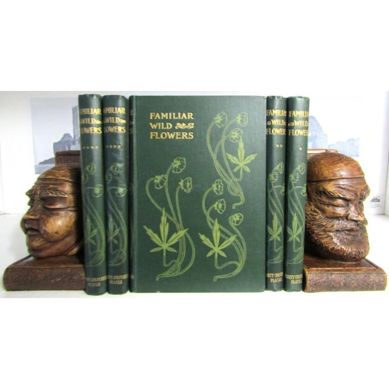 Familiar Wild Flowers: 200 beautiful chromolithograph plates. Publishers green cloth with gilt title and green vignettes. Gilt title, vignette spines. Mottled page-blocks. Decorative capitals and tail pieces in each chapter