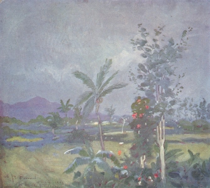 WEST INDIES. Tropical Rain 1905 old antique vintage print picture: Title: WEST INDIES. Tropical Rain 1905 old antique vintage print picture Description: Tropical Rain' by From a painting by Archibald Stevenson Forrest (1905). Coloured antique print, 11.0 x 12.5cm, 4.