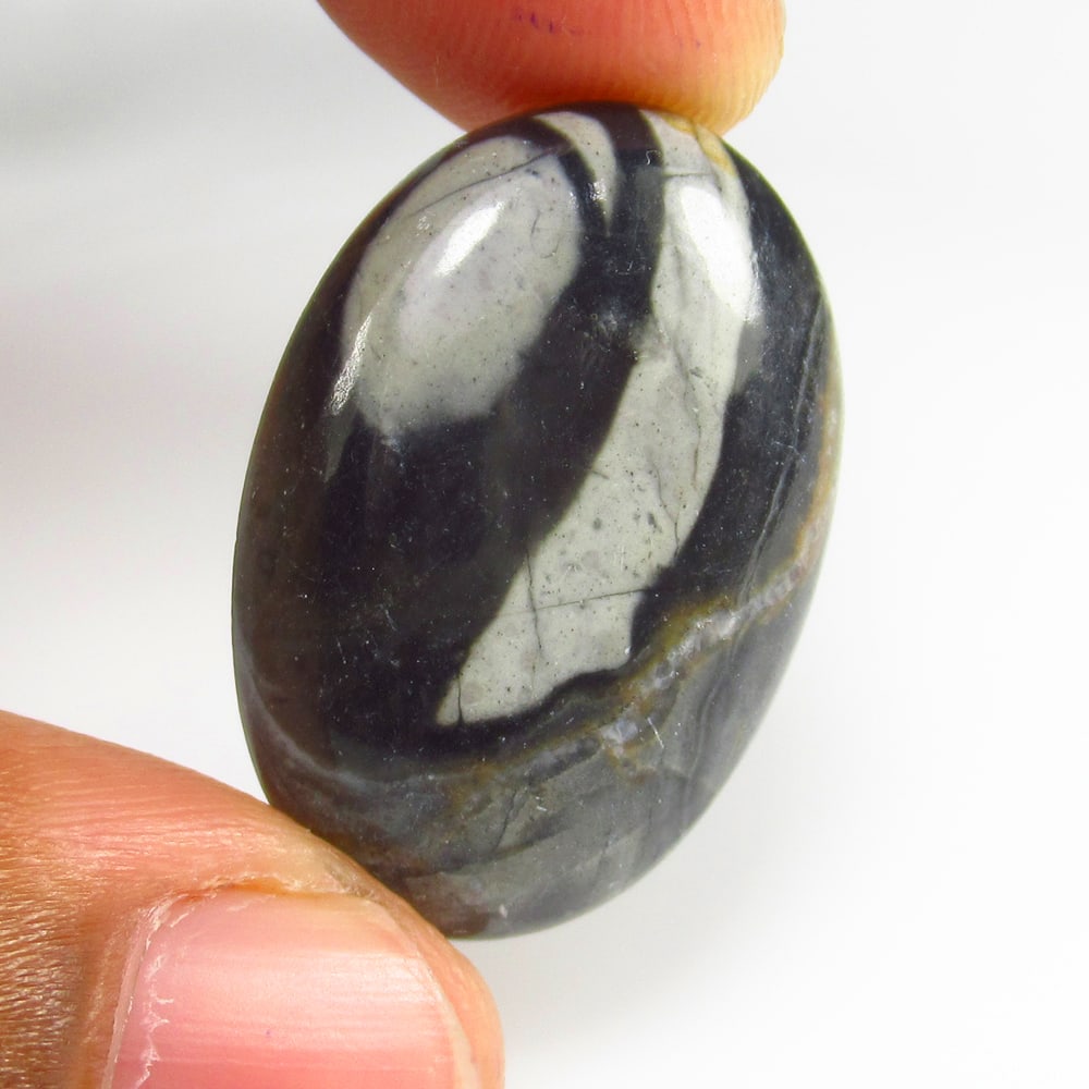 23.00 Ct - Natural Shungite Palm Jasper: No Reserve! Title: 23.00 Ct - Natural Shungite Palm Jasper Description:Gemstone Gemstones: Jasper Carat:23 Size/Dimensions:28.0 x 19.0 x 6.1 mm Additional Info:Pieces : 1 No's / Shape : Oval Cab / Col