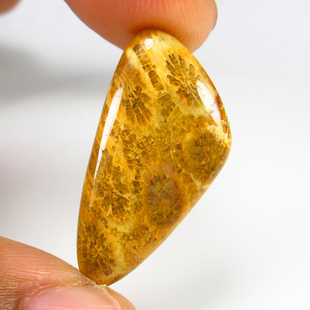 14.14 Ct - Natural Picture Jasper: No Reserve! Title: 14.14 Ct - Natural Picture Jasper Description:Gemstone Gemstones: Jasper Carat:14.14 Size/Dimensions:29.0 x 14.2 x 4.7 mm Additional Info:Pieces : 1 No's / Shape : Fancy Cab / Color