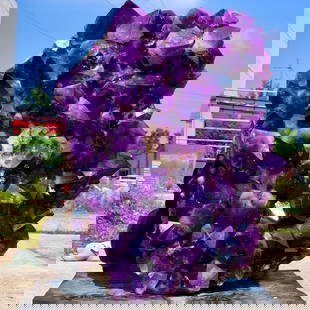 101.64LB Natural Amethyst geode quartz cluster crystal specimen Healing: Title: 101.64LB Natural Amethyst geode quartz cluster crystal specimen Healing Gemstones: Amethyst Carat Weights: 46200g (1LB=453.59g) Size/Dimensions: 510*400*201mm (1inc=25.4mm) Additional Info: All