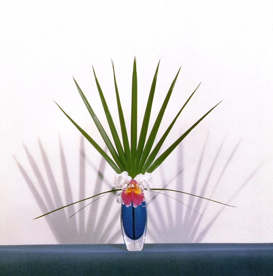 MAPPLETHORPE -  Orchid with Palmetto, 1982 (1 of 1)