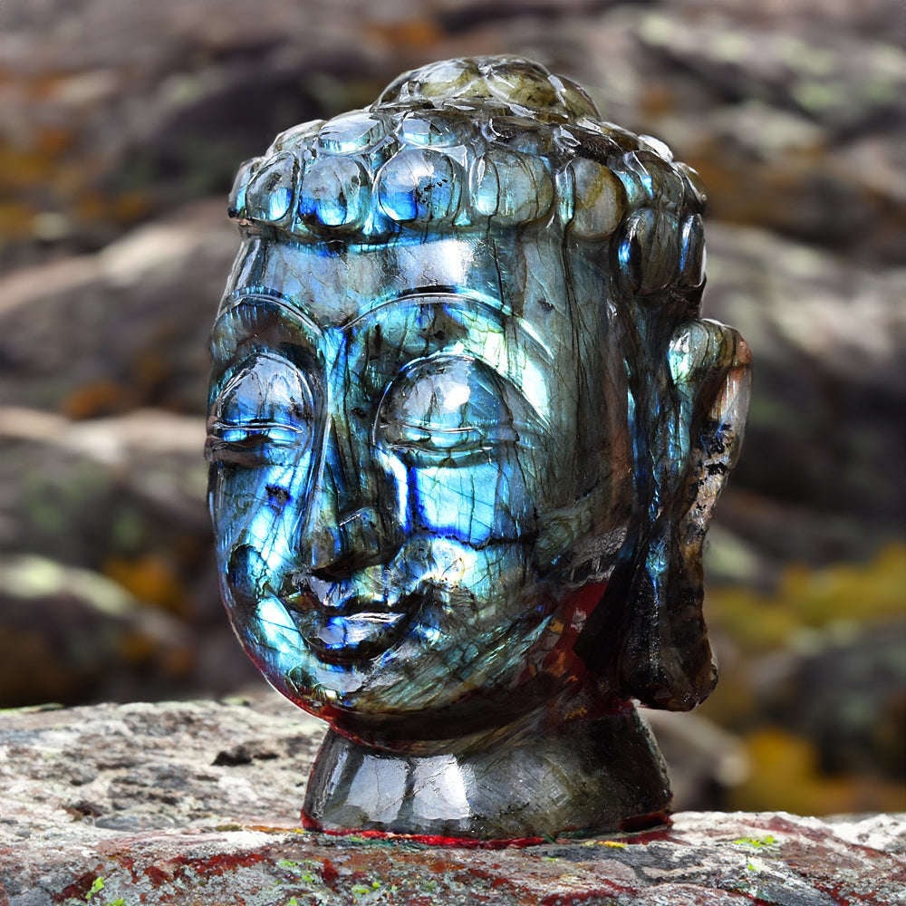 Blue Flash Massive Labradorite Carved Lord Buddha Head Idol (1 of 9)