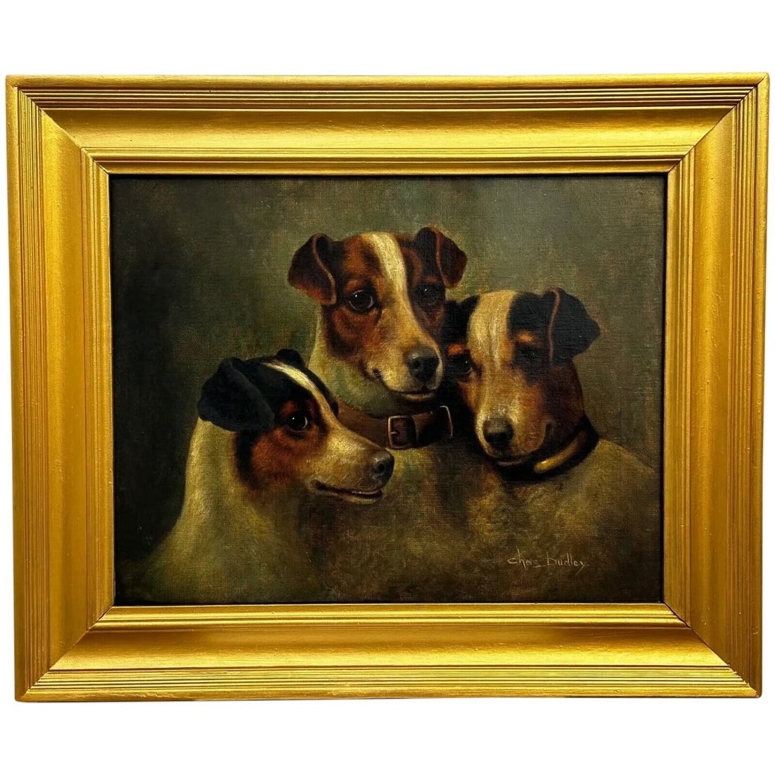 Victorian Oil Painting Portrait Of Three Jack Russell Dogs Together PA MA & I (1 of 20)