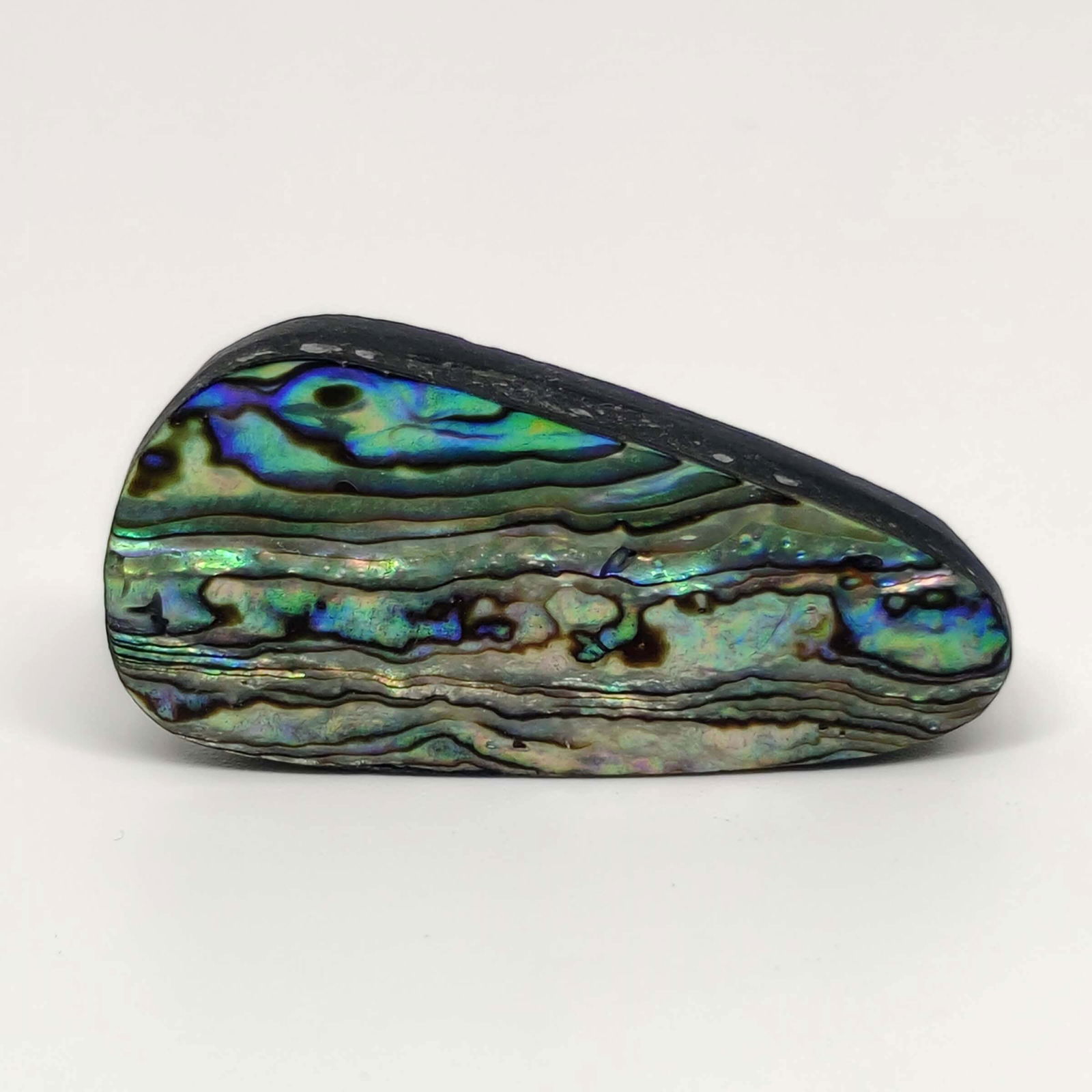 29.75 ct Natural Australian Abalone Shell (1 of 2)