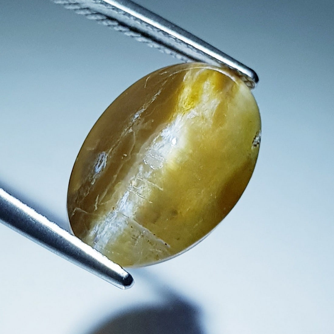 7.00 ctz Natural Opal Cat's Eye: No Reserve! Title: 7.00 ctz Natural Opal Cat's Eye Color/Clarity: Ash Yellow / Transparant Gemstone: Opal Cta's Eye Carat Weights: 7 Size: 15.00 x 10.50 x 8.20 Additional Information: Oval / Ethiopia 
