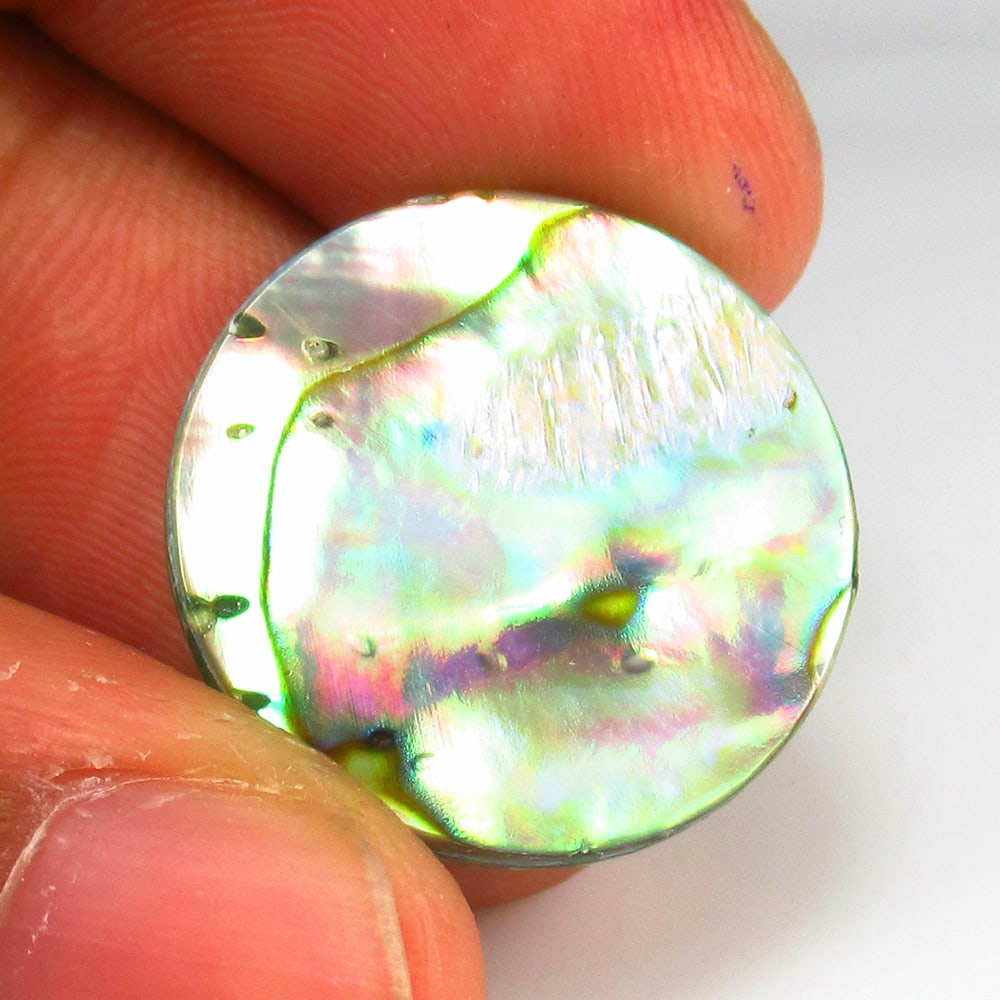 8.56 Ct - Natural Shining Abalone Shell (1 of 2)